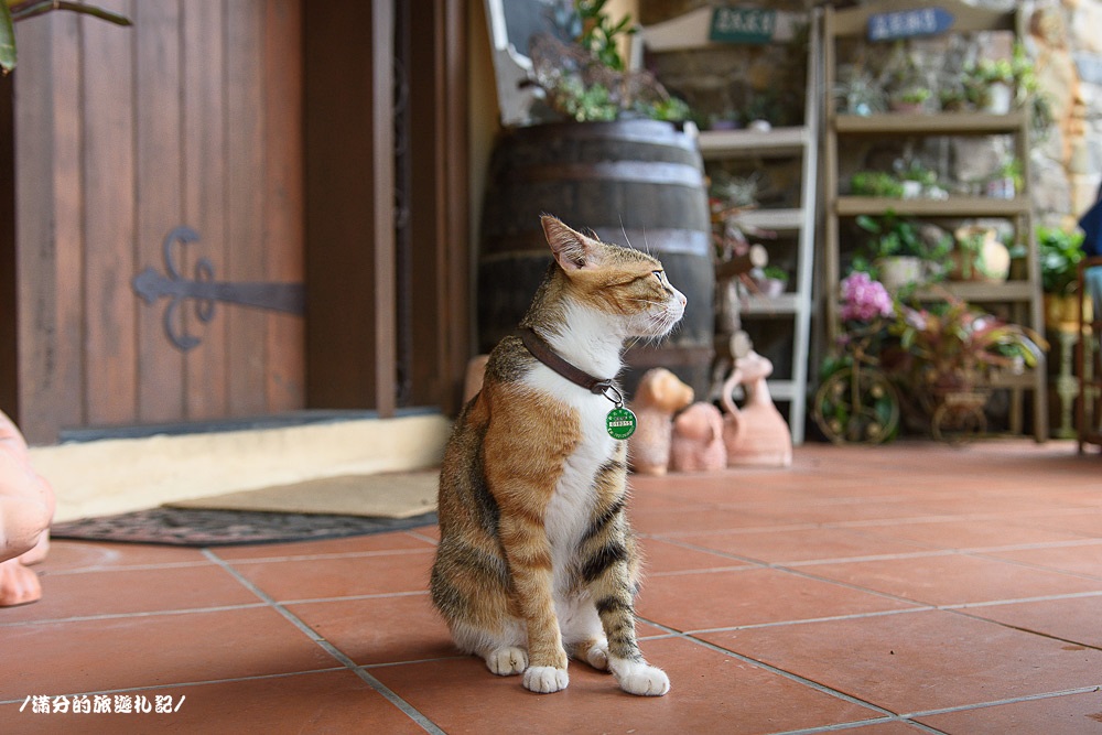 新竹新埔景點》黛安莊園 新竹景觀餐廳 情侶約會下午茶 森林裡的南法莊園 - 滿分的旅遊札記