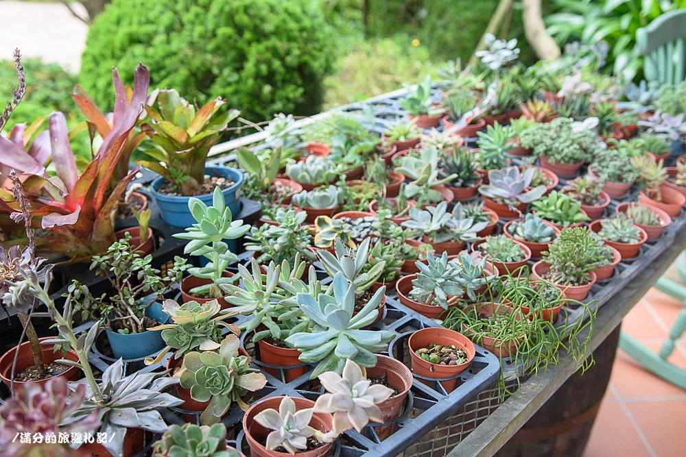 新竹新埔景點》黛安莊園 新竹景觀餐廳 情侶約會下午茶 森林裡的南法莊園 - 滿分的旅遊札記