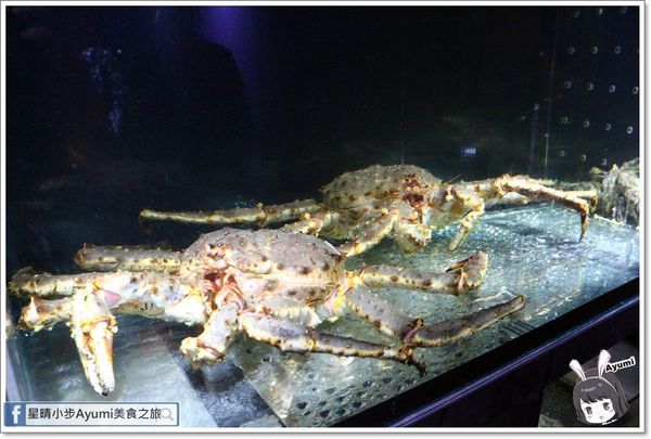 阿那祭 板前炭燒居酒屋：[食記]►彰化日本料理推薦◄阿那祭板前炭燒居酒屋－個人盛合特選無菜單料理/小團體聚餐/忘年會/宵夜美食/新年饗宴