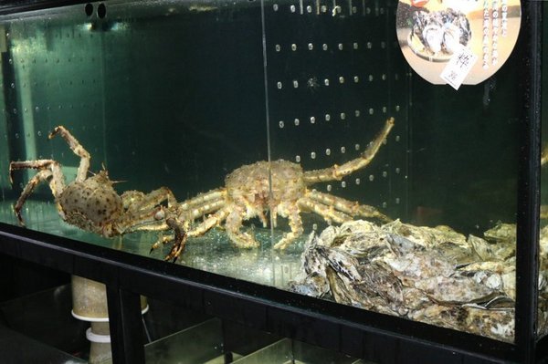 阿那祭 板前炭燒居酒屋：彰化日式美食居酒屋~阿那祭/板前和食.定食.無菜單料理!