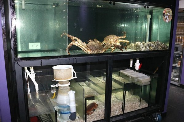 阿那祭 板前炭燒居酒屋：彰化日式美食居酒屋~阿那祭/板前和食.定食.無菜單料理!