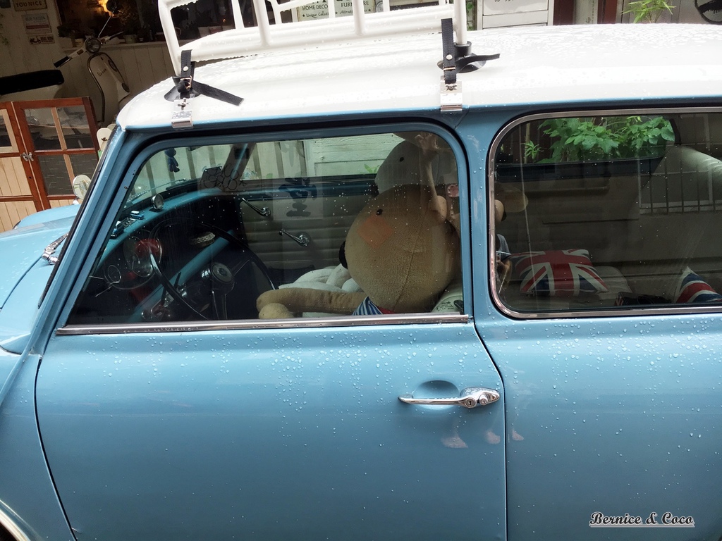 IMG_2068.JPG IMG_2068.JPG