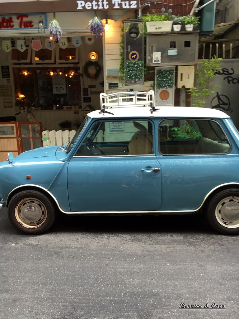 IMG_2059.JPG IMG_2059.JPG