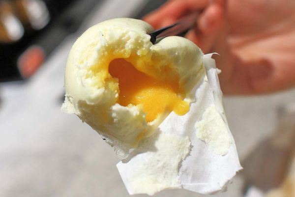 【台北美食】点心道-傳承正宗港點必吃打卡美食