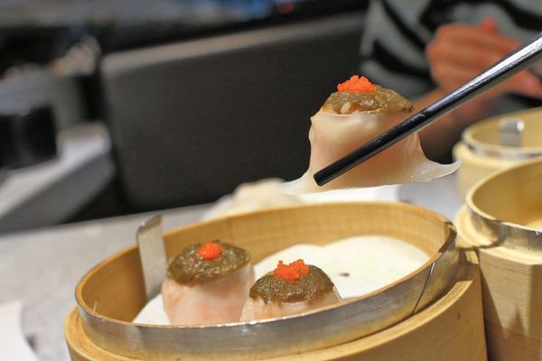 【台北美食】点心道-傳承正宗港點必吃打卡美食