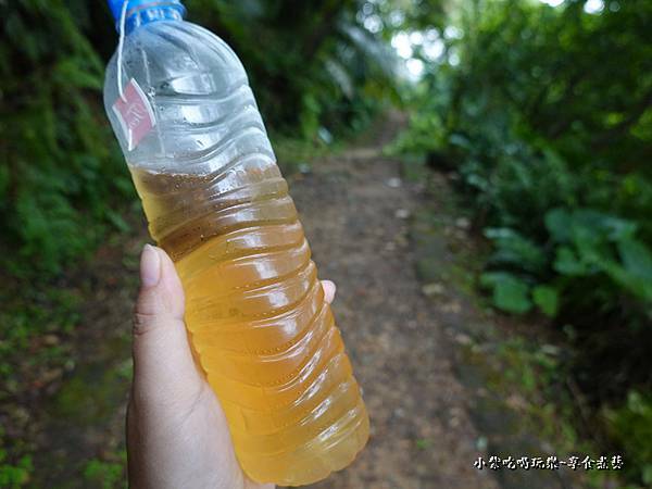 冷泡龍眼花茶-霧峰民生故事館 (3).jpg