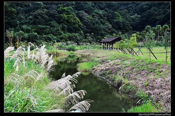 20151205北市山水綠生態公園15 20151205北市山水綠生態公園15