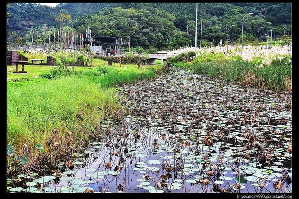 20151205北市山水綠生態公園28 20151205北市山水綠生態公園28