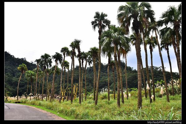 20151205北市山水綠生態公園12 20151205北市山水綠生態公園12
