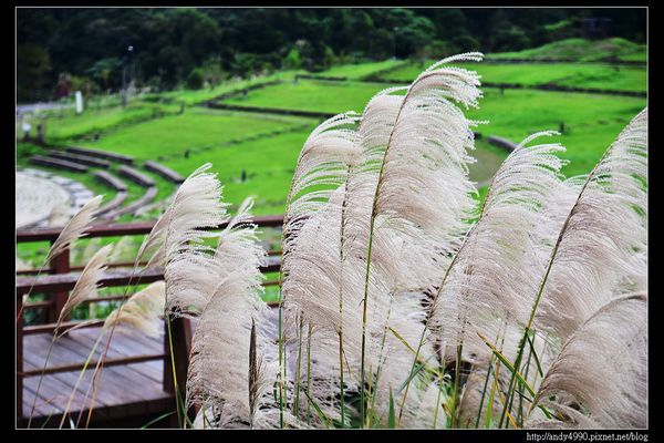 20151205北市山水綠生態公園4 20151205北市山水綠生態公園4