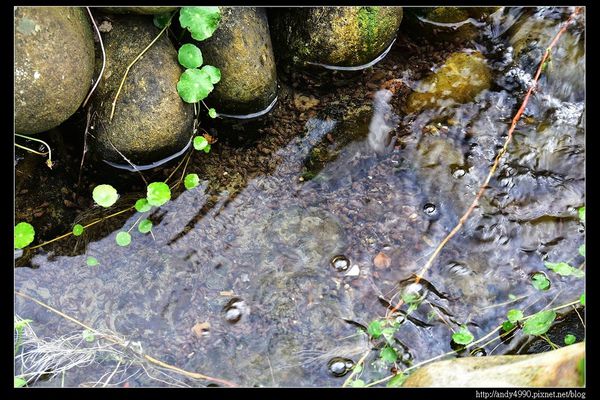 20151205北市山水綠生態公園11 20151205北市山水綠生態公園11