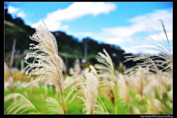 20151205北市山水綠生態公園34 20151205北市山水綠生態公園34