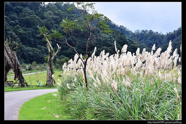 20151205北市山水綠生態公園8 20151205北市山水綠生態公園8