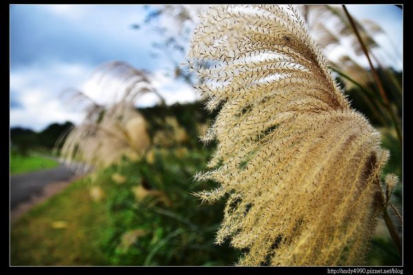 20151205北市山水綠生態公園10 20151205北市山水綠生態公園10