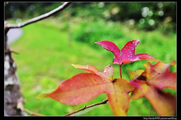 20151205北市山水綠生態公園16 20151205北市山水綠生態公園16