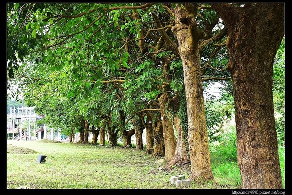 20151205北市山水綠生態公園18 20151205北市山水綠生態公園18