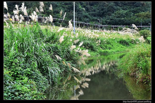 20151205北市山水綠生態公園20 20151205北市山水綠生態公園20