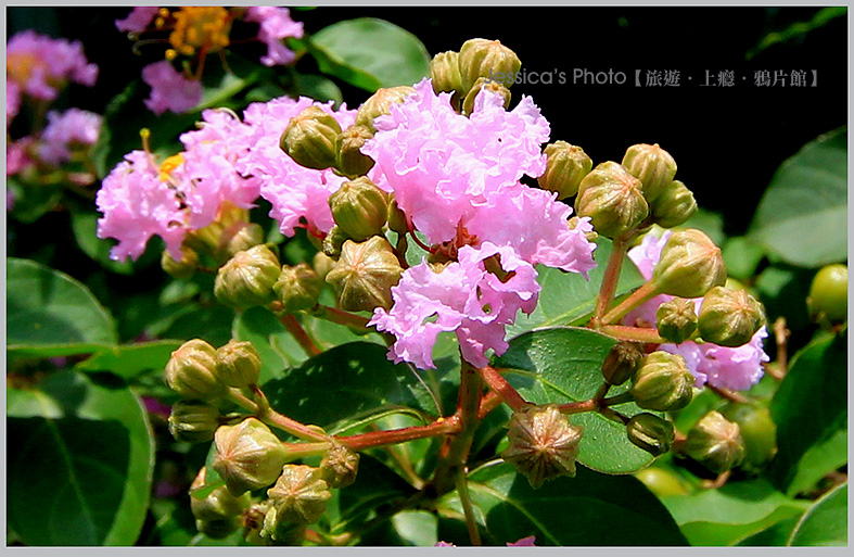 屏東●青葉部落●台灣最美原民石板彩繪/房子的身分證/魯凱族神話藝術村/部落拳擊站