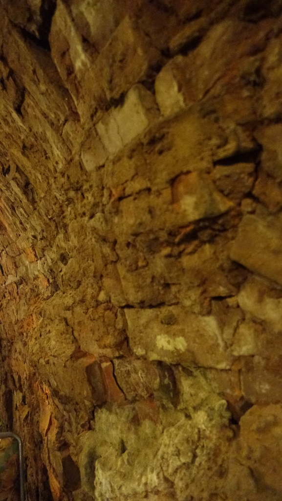 DSC07411 - 複製.JPG