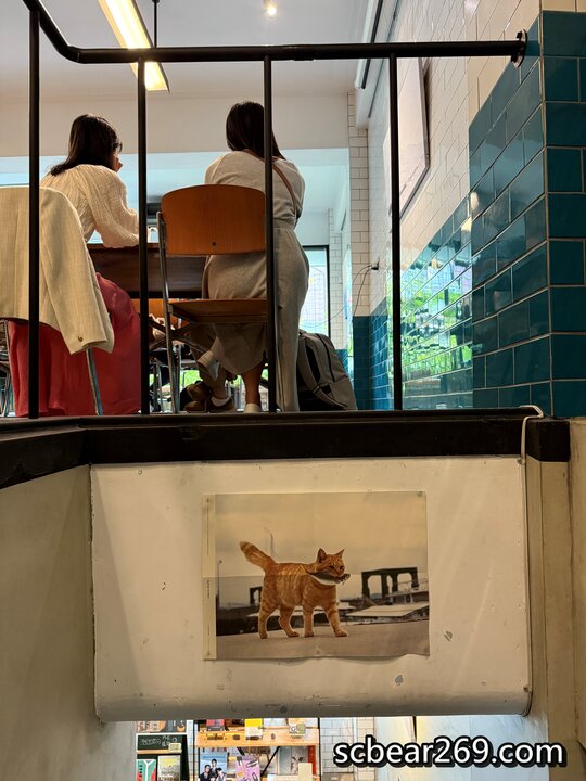 台中不限時咖啡館！Fleet Street艦隊街咖啡結合獨立書店，台中火車站旁。