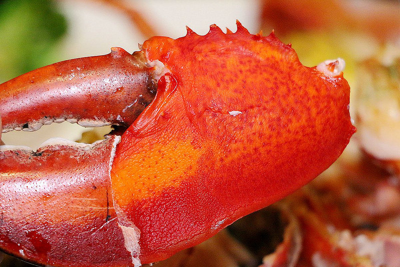 百家樂鐵板燒069