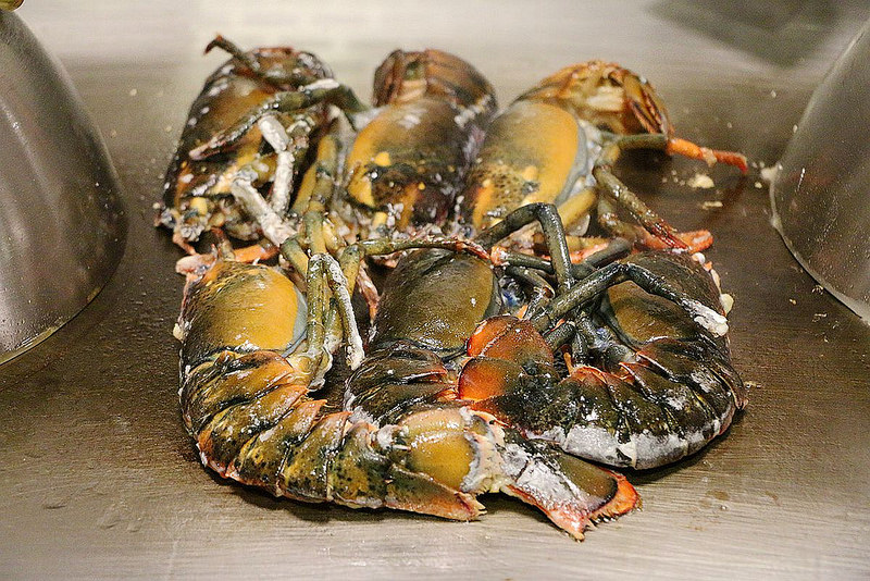 百家樂鐵板燒051