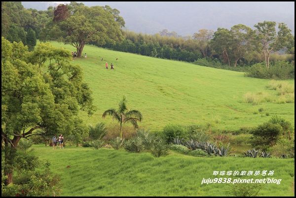 南窩綠丘32.JPG
