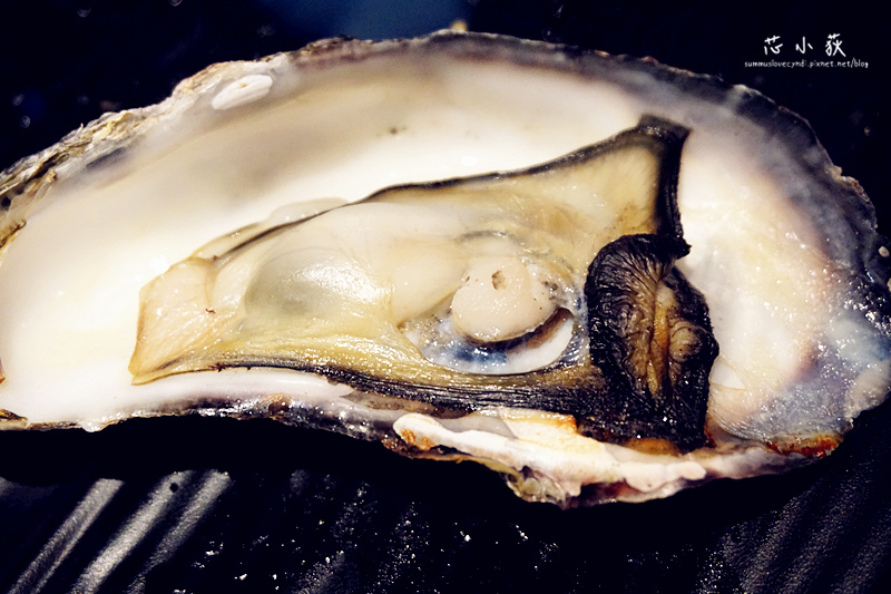 美國大生蠔-公益路吃到飽推薦