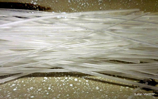 110-2017.03.18 婧 Shabu 101.JPG