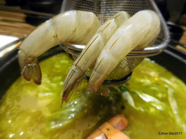 080-2017.03.18 婧 Shabu 095.JPG