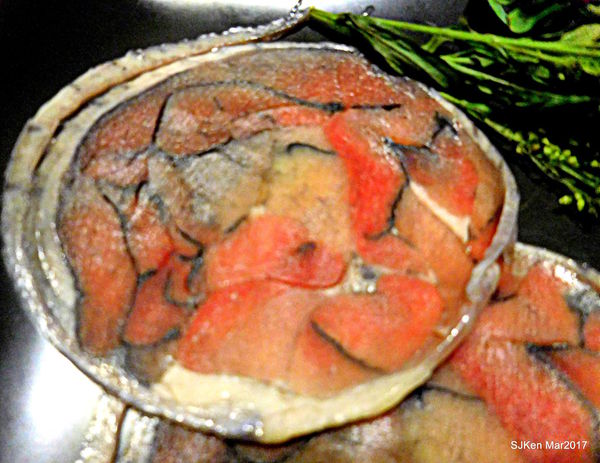 096-2017.03.18 婧 Shabu 104.JPG