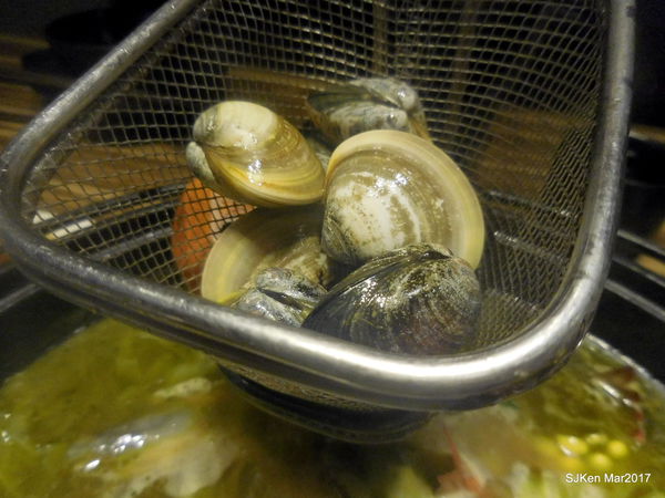 083-2017.03.18 婧 Shabu 102.JPG