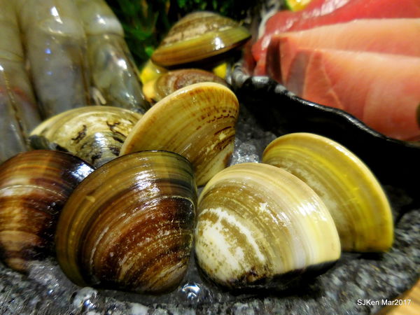 082-2017.03.18 婧 Shabu 087.JPG