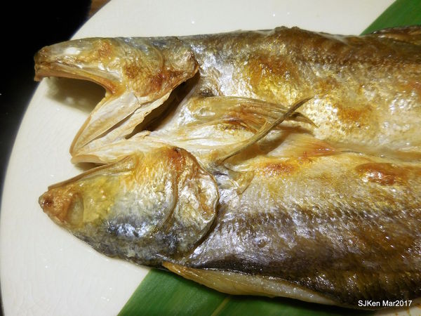 119-2017.03.18 婧 Shabu 121.JPG