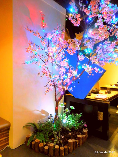 038-2017.03.18 婧 Shabu 134.JPG