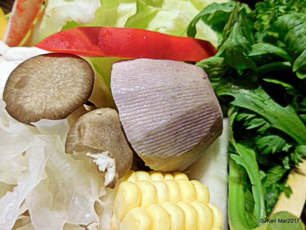 072-2017.03.18 婧 Shabu 073.JPG