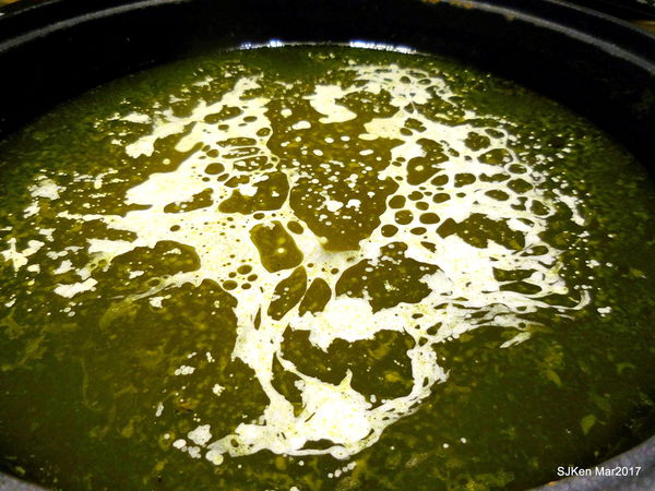 066-2017.03.18 婧 Shabu 068.JPG