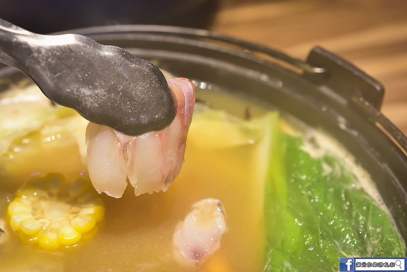 PhotoCap_043 PhotoCap_043