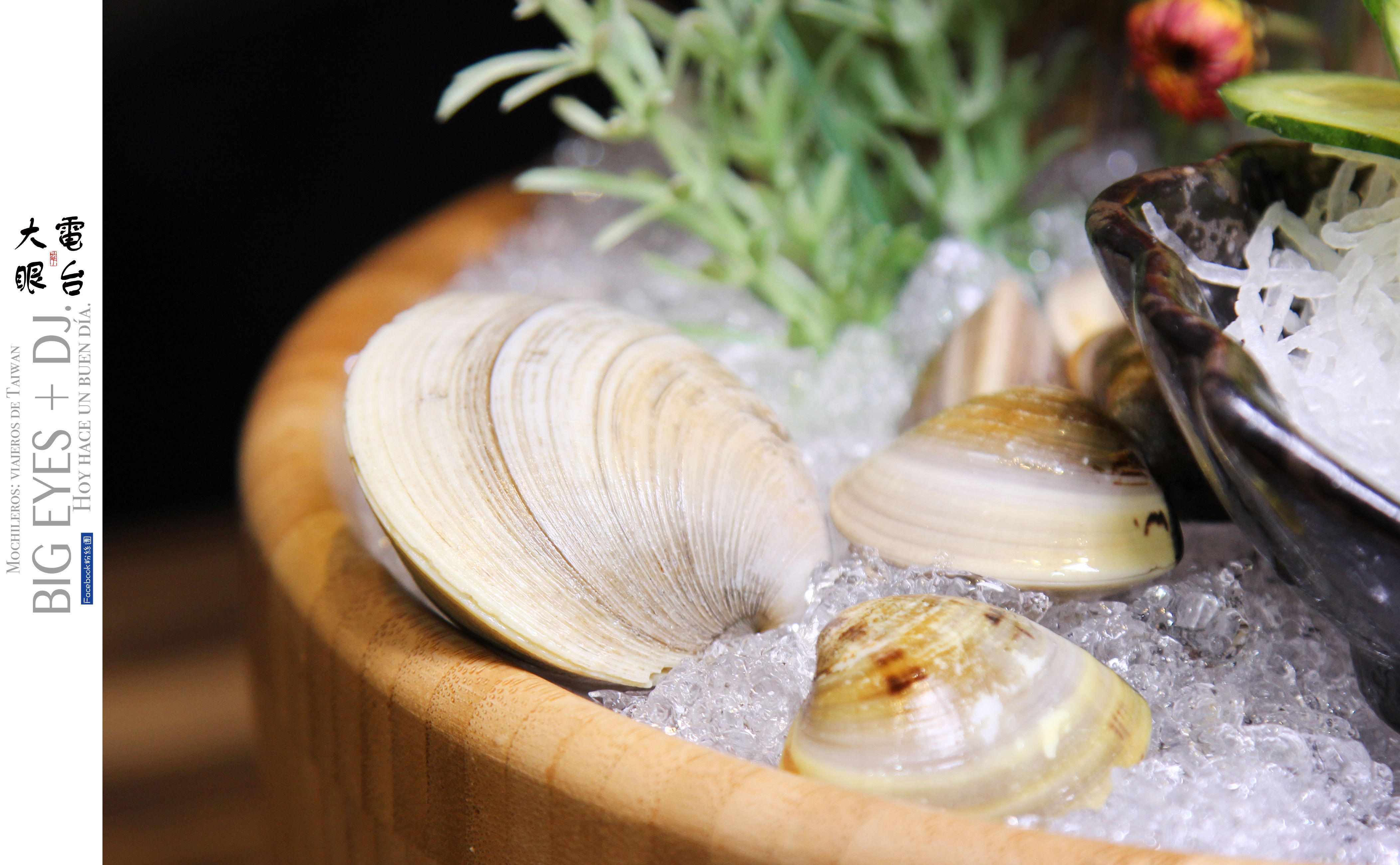 2拷貝.jpg 2拷貝.jpg