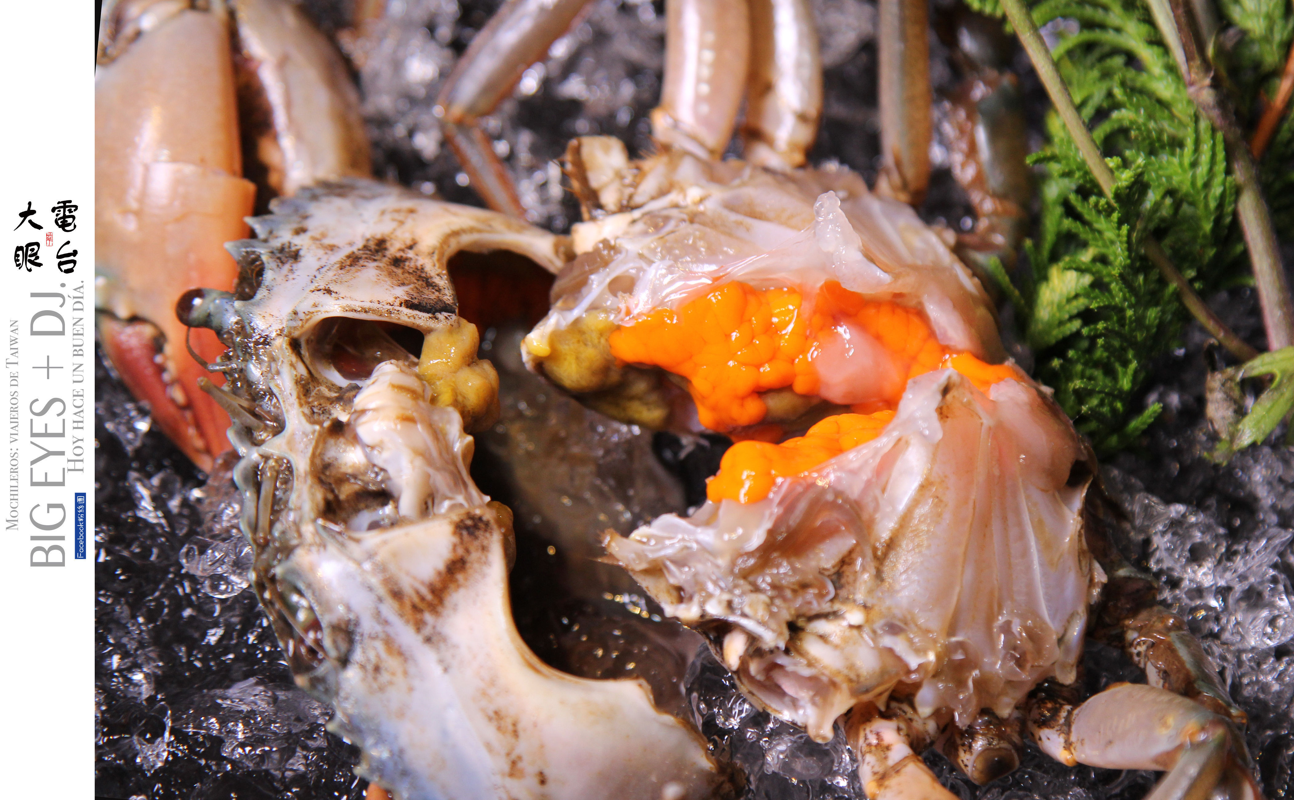 00s0sas.jpg 00s0sas.jpg