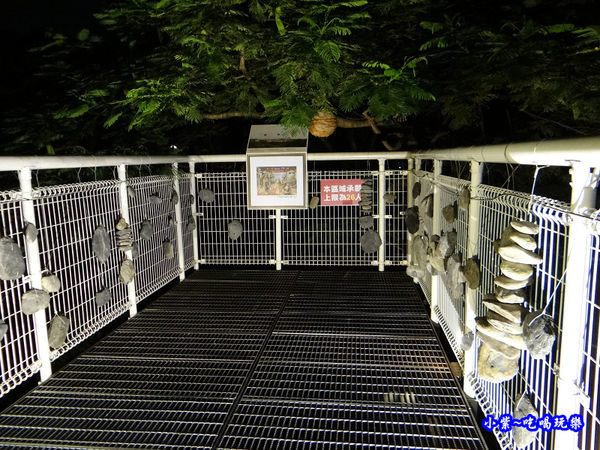 八卦山2019-8月天空步道 (35).jpg