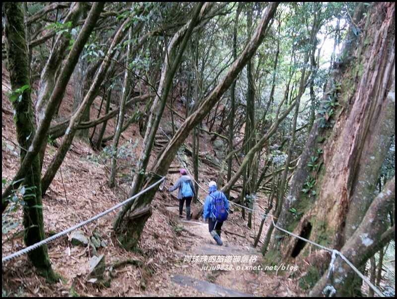 鳶嘴稍來步道8.JPG