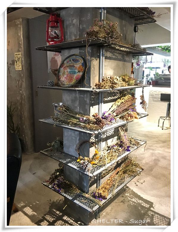 別所:【食-台北大同區】選離喧囂的老屋造景,同時擁有中西式餐點,不限時間愜意享受 - 別所Shelter 別所:【食-台北大同區】選離喧囂的老屋造景,同時擁有中西式餐點,不限時間愜意享受 - 別所Shelter