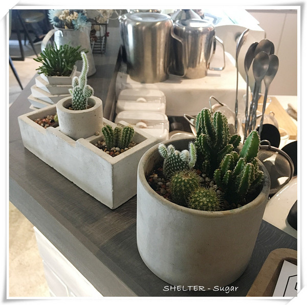 別所:【食-台北大同區】選離喧囂的老屋造景,同時擁有中西式餐點,不限時間愜意享受 - 別所Shelter 別所:【食-台北大同區】選離喧囂的老屋造景,同時擁有中西式餐點,不限時間愜意享受 - 別所Shelter