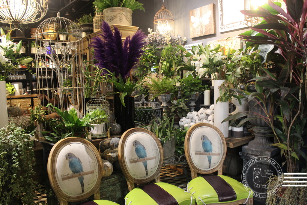 IMG_1037.JPG IMG_1037.JPG