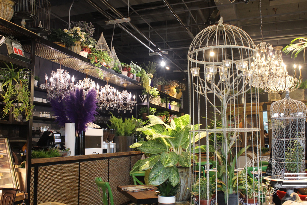 IMG_0999.JPG IMG_0999.JPG