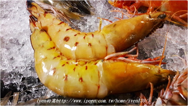 饗樂shabu精緻鍋品：《台北民生社區涮涮鍋》火鍋控的極品\推薦極品黃金香蕉蝦\彩蝦軍艦號\台北夜宵最佳去處-『饗樂shabu 精緻鍋品』