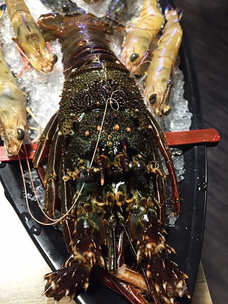 20171102 #1_171103_0003.jpg