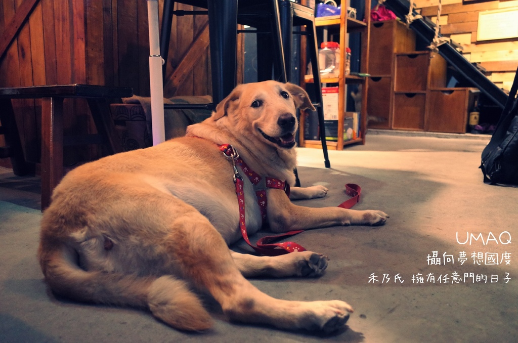 16-07-20-02-10-17-659_deco.jpg 16-07-20-02-10-17-659_deco.jpg