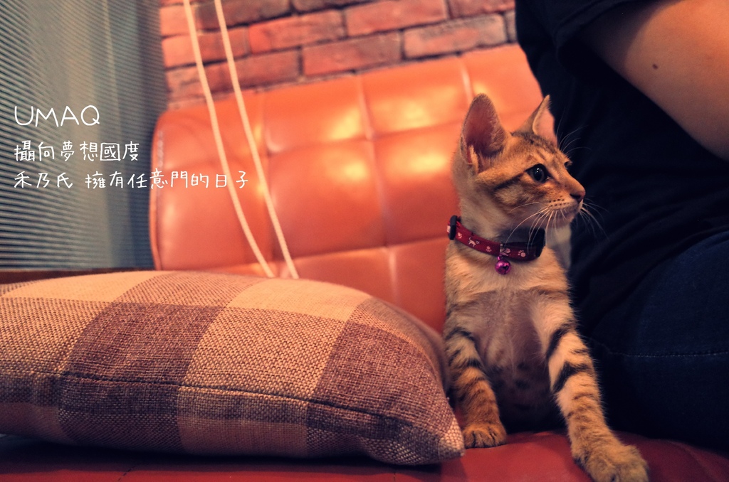 16-07-20-01-58-49-242_deco.jpg 16-07-20-01-58-49-242_deco.jpg